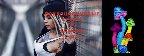 бошки Верея