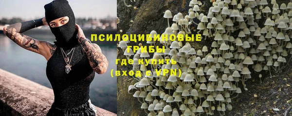 бошки Верея