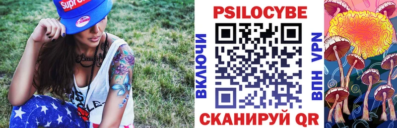 omg ССЫЛКА  где можно купить наркотик  Выборг  Галлюциногенные грибы GOLDEN TEACHER 